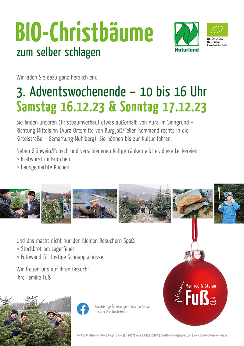 Bio Christbäume selber schlagen